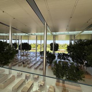 Modern Serenity at Apple Park