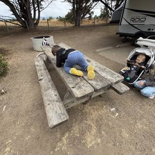 Morning Playtime in Cambria