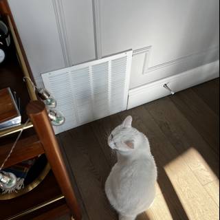 White Cat in Wooden Surroundings