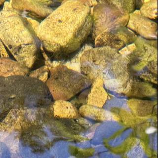 Tranquil Waterscape at Avila Beach