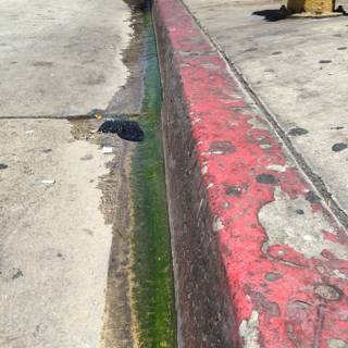 Red and Black Curb in Pershing Square