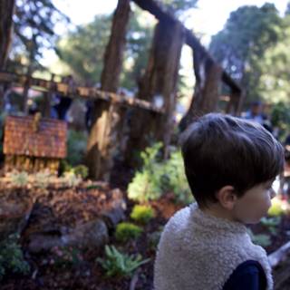 Exploring the Woodland Wonders