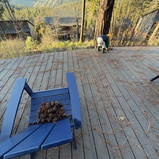 cabin-life