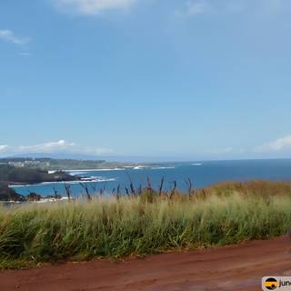 Serene View of the Hawaiian Ocean