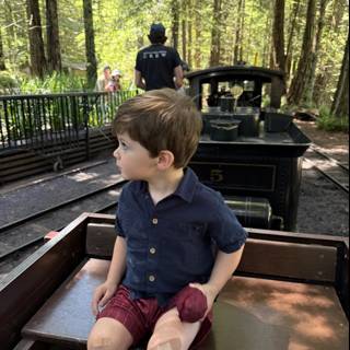 **Train Adventures in Tilden Park**