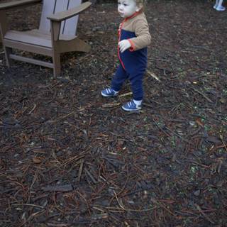 Little Explorer in Thistlewyck