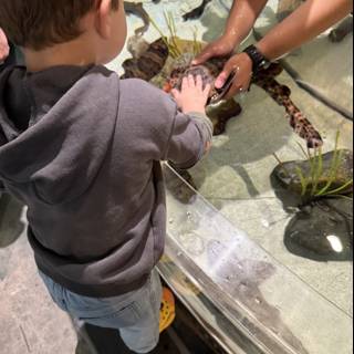 Curious Hands at the Aquarium