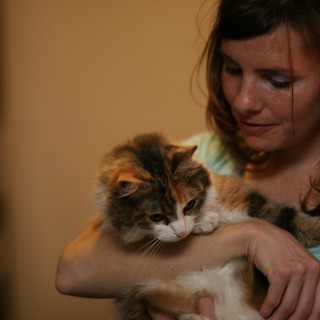 fluffy-kitten