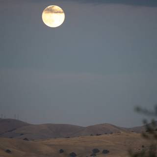 Moonlit Serenity Over Walnut Creek