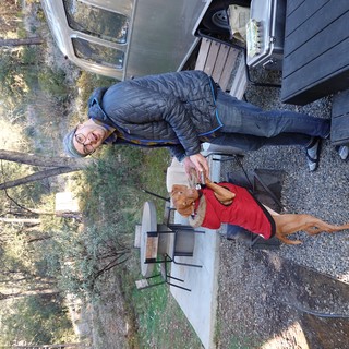 Camping Adventure with Dog and Owner