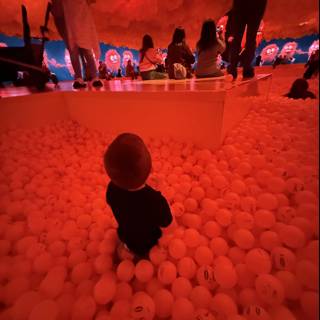 Enchanted Sphere of Wonder