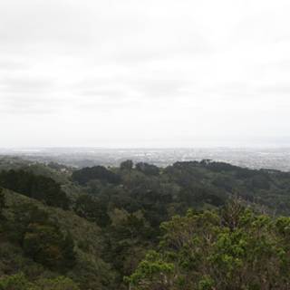 Hilltop View of the City