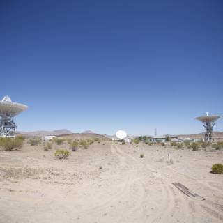 Majestic Radio Telescopes in the Desert