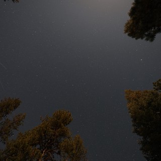 Meteor Streak Over Lassen Volcanic National Park Pines