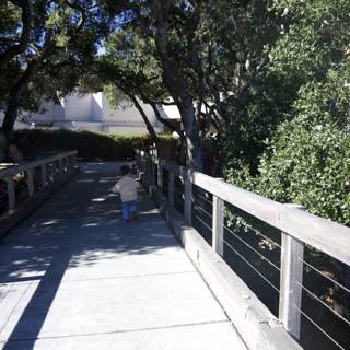 Journey Through Nature