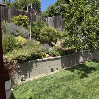 Tranquil Garden Escape