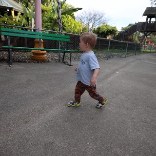Toddler Exploring Fantasyland at Dusk