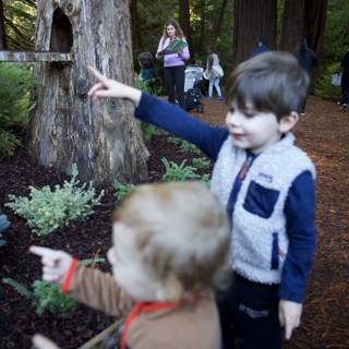 Exploring the Wonders of Thistlewyck Grove