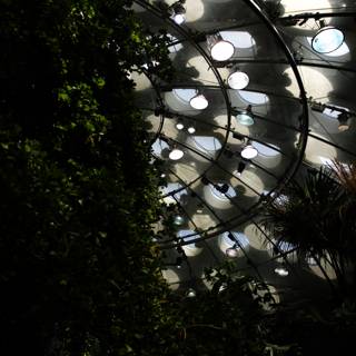 Enchanting Greenhouse at California Academy of Sciences