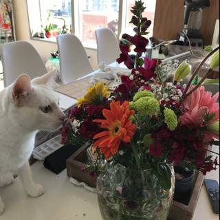 Cat and Flowers at The Broad