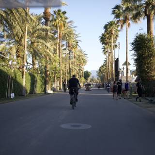 Cycling in Paradise