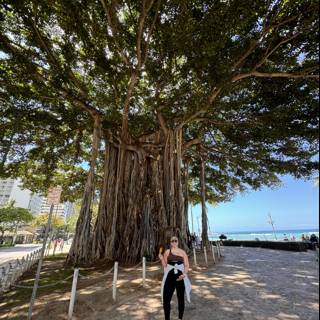 Majestic Banyan Guardian at Kuhio Beach Park
