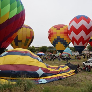Colorful Hot Air Balloons Fill the Sky at Classic Festival