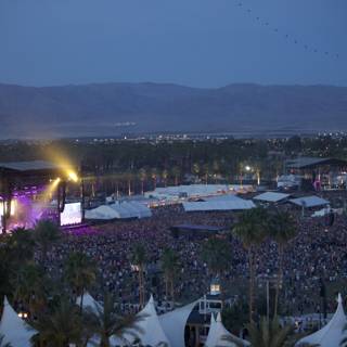 Music Madness in the Desert