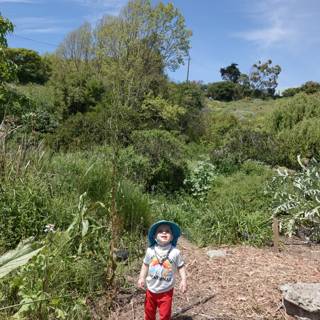 Little Explorer in the Wilderness