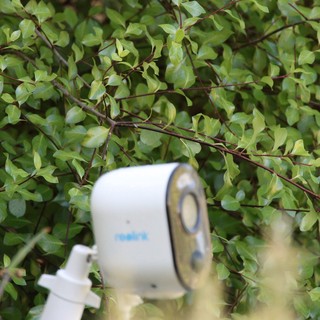Security Camera Nestled Among Green Foliage