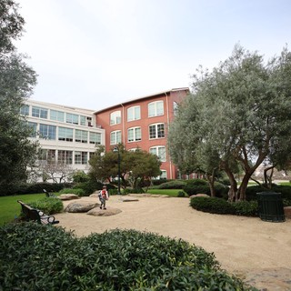 Peaceful Courtyard at Skywalker Ranch Campus