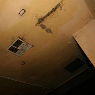 Mold Damage in a Home Building