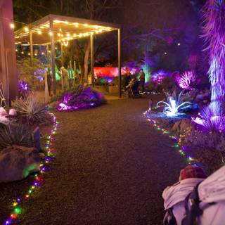 Enchanted Evenings at Garden of D'Lights