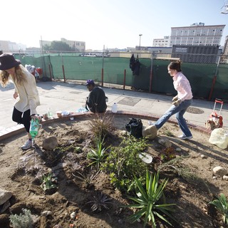 sidewalk-garden