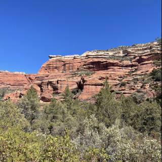 Red Rock Mesa in Coconino National Forest