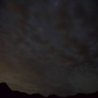 Stellar Night Skies