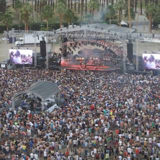 Jam-packed concert audience under towering palm trees