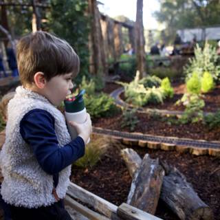 Exploring Thistlewyck's Gardens