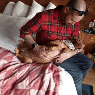 Man and Dog Relaxing Together on Bed