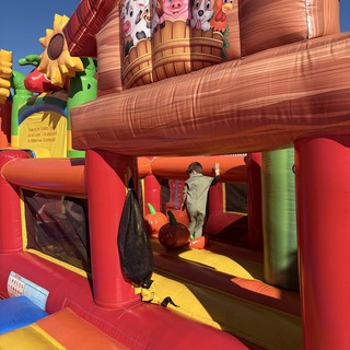 outdoor recreational area, carnival, fair, or party venue