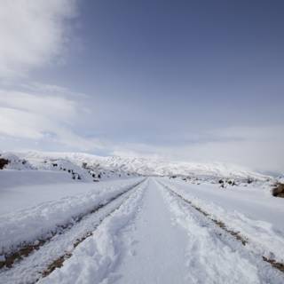 Snowy Road Ahead