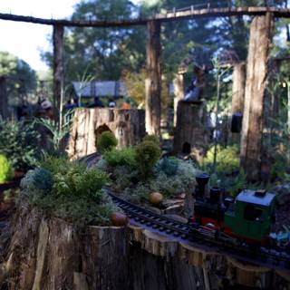 Miniature Train Adventure