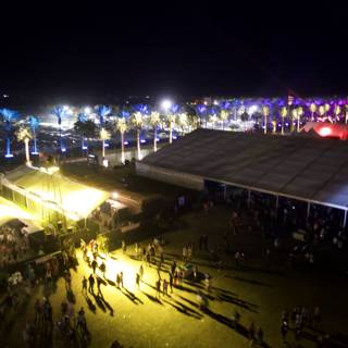 Nighttime Crowd at Coachella Festival