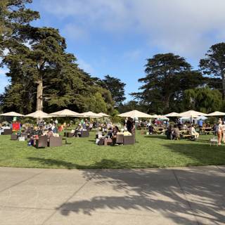 Sunny Afternoon at the Botanical Gardens
