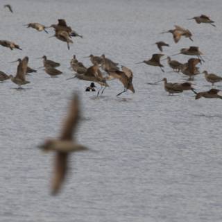 Flight Over San Pablo Bay
