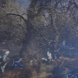 Mystical Forest Scene with Flying Birds