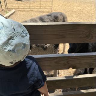 Curious Encounters at Tilden Nature Area