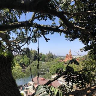 Tree-top Cityscape