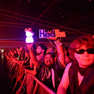 Ecstatic Crowd Surges at Wobbleland Festival 2026