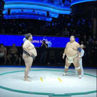World Sumo Tournament Showdown